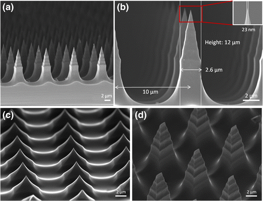 Como nanoagulhas ajudam a entender o comportamento de tumores cerebrais de forma contínua?